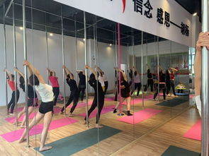 勁爆好消息！胡楊舞蹈周年特惠，僅198元體驗舞蹈魅力！